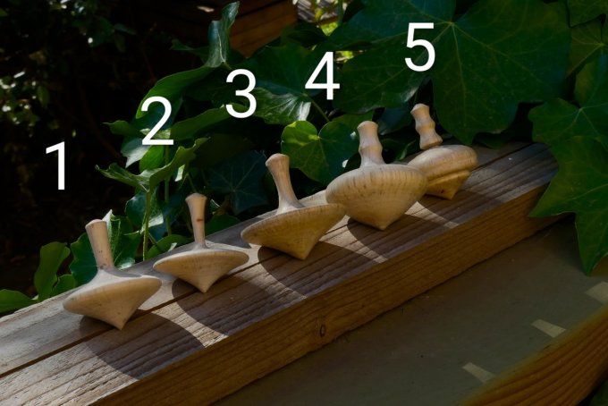 Toupies en Chêne vert 